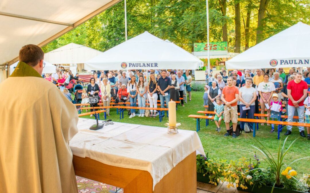 Rückblick Beitrag-1